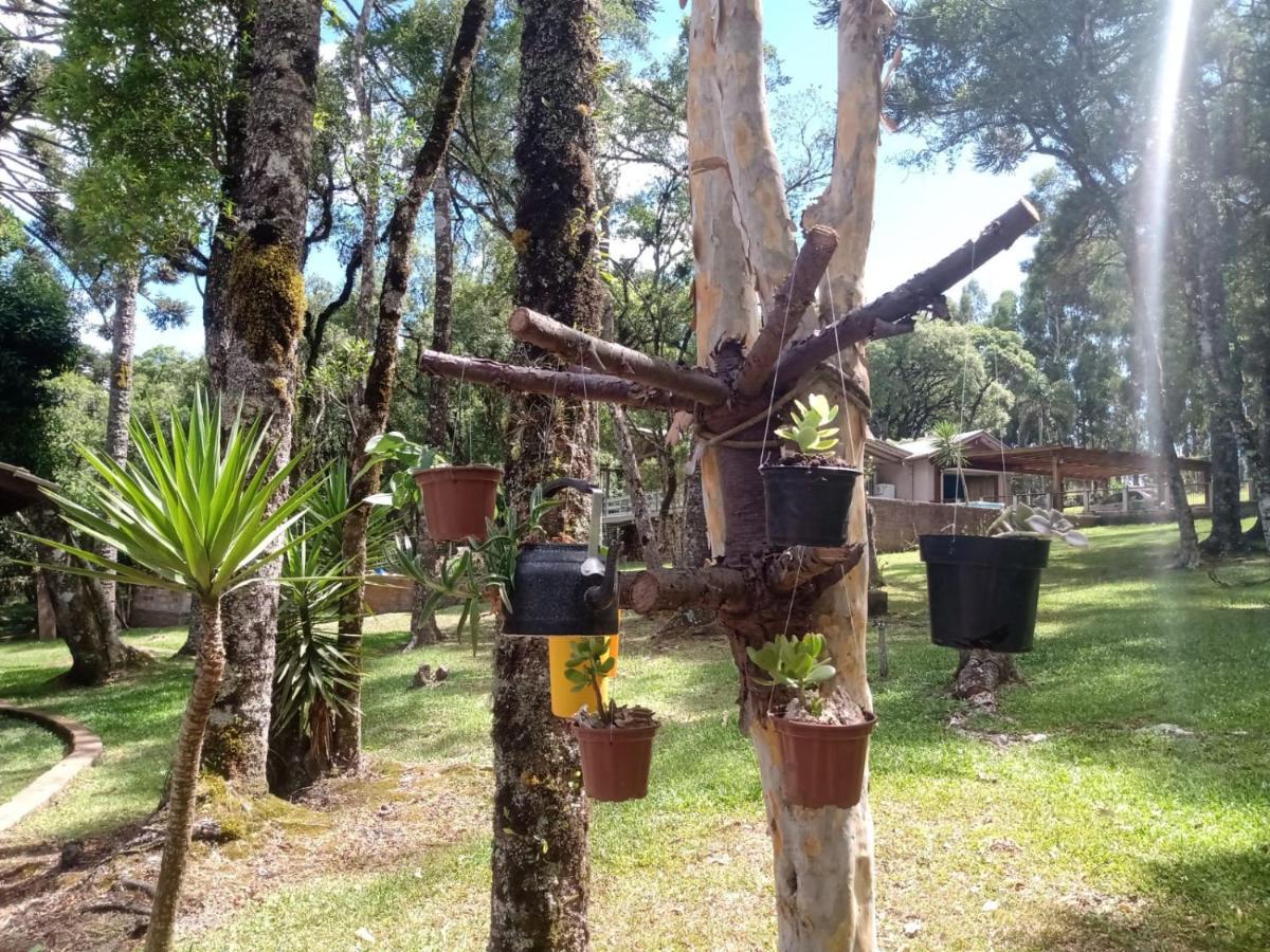 Recanto Da Natureza - Canela Exterior foto